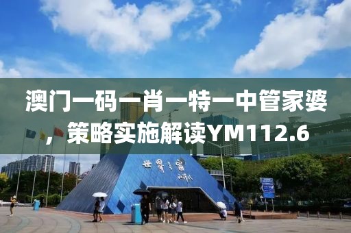 澳门一码一肖一特一中管家婆，策略实施解读YM112.6