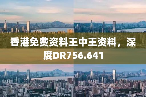 香港免费资料王中王资料，深度DR756.641