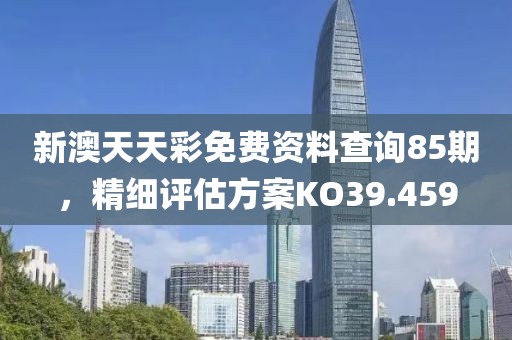 新澳天天彩免费资料查询85期，精细评估方案KO39.459
