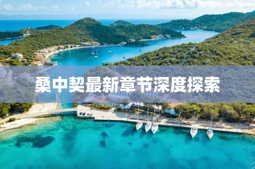 桑中契最新章节深度探索