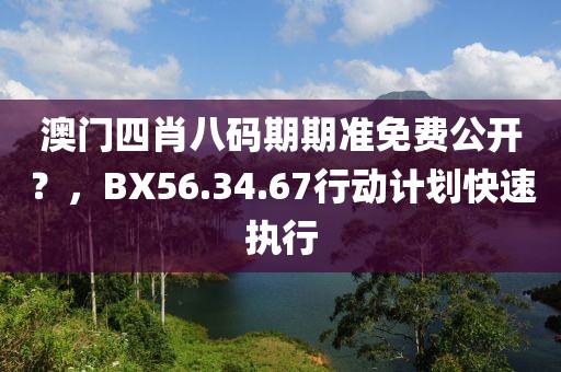 澳门四肖八码期期准免费公开？，BX56.34.67行动计划快速执行