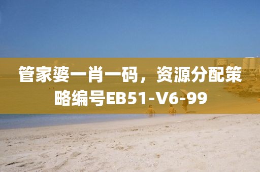 管家婆一肖一码，资源分配策略编号EB51-V6-99