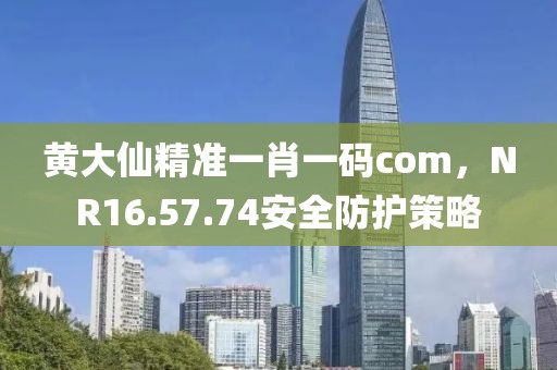 黄大仙精准一肖一码com，NR16.57.74安全防护策略