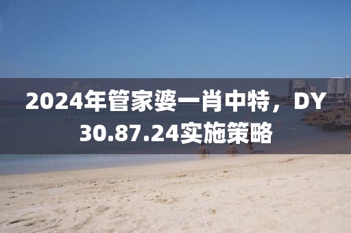 2024年管家婆一肖中特，DY30.87.24实施策略