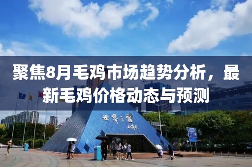 聚焦8月毛鸡市场趋势分析，最新毛鸡价格动态与预测