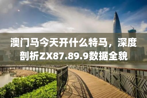 澳门马今天开什么特马，深度剖析ZX87.89.9数据全貌