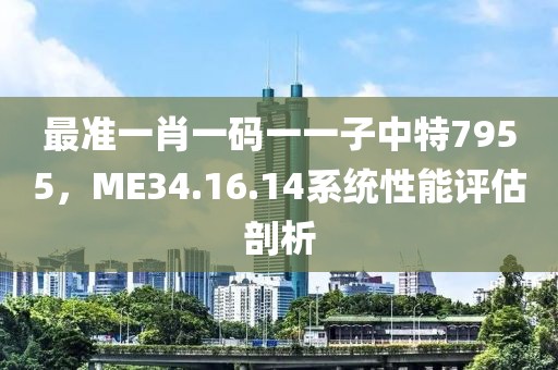 最准一肖一码一一子中特7955，ME34.16.14系统性能评估剖析