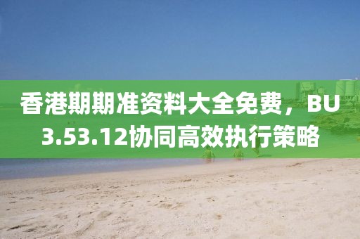 香港期期准资料大全免费，BU3.53.12协同高效执行策略