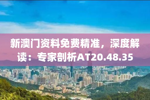 新澳门资料免费精准，深度解读：专家剖析AT20.48.35