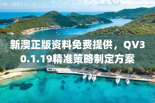 新澳正版资料免费提供，QV30.1.19精准策略制定方案