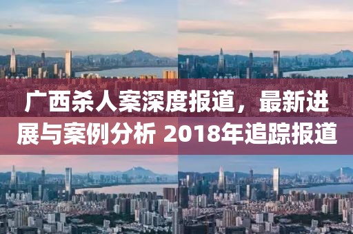 广西杀人案深度报道，最新进展与案例分析 2018年追踪报道