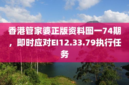 香港管家婆正版资料图一74期，即时应对EI12.33.79执行任务