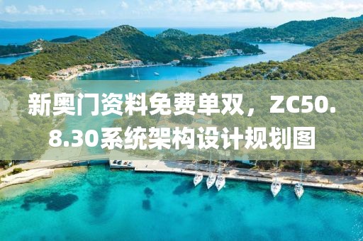 新奥门资料免费单双，ZC50.8.30系统架构设计规划图