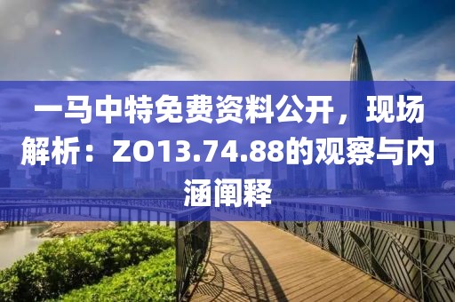 一马中特免费资料公开，现场解析：ZO13.74.88的观察与内涵阐释