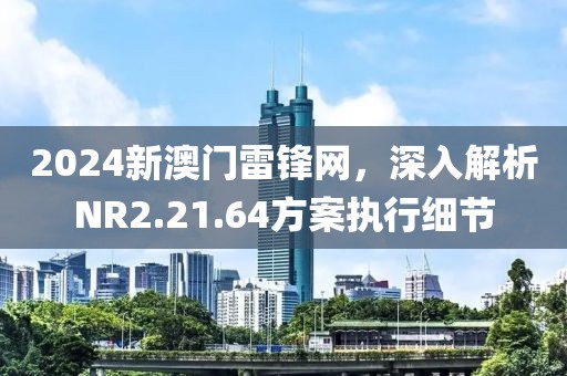 2024新澳门雷锋网，深入解析NR2.21.64方案执行细节