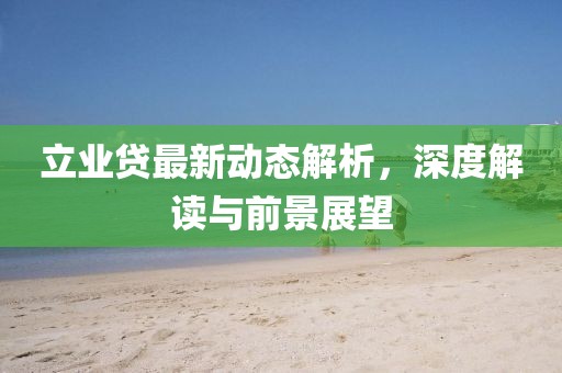 立业贷最新动态解析，深度解读与前景展望