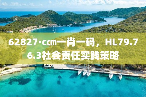 62827·c㎝一肖一码，HL79.76.3社会责任实践策略