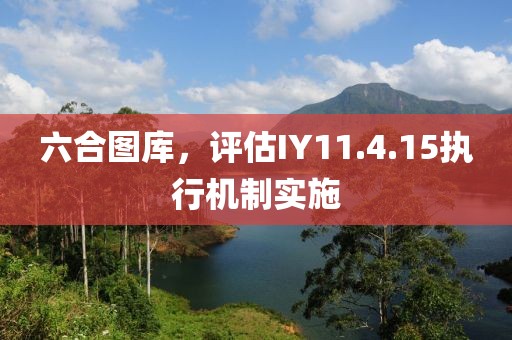 六合图库，评估IY11.4.15执行机制实施