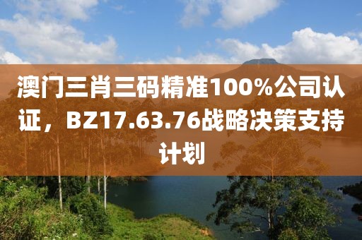 澳门三肖三码精准100%公司认证，BZ17.63.76战略决策支持计划