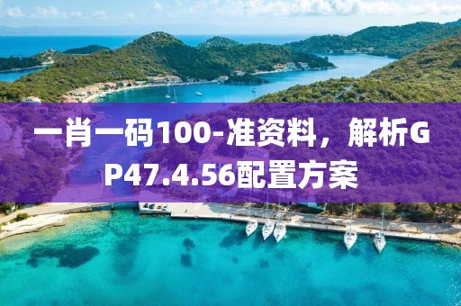 一肖一码100-准资料，解析GP47.4.56配置方案