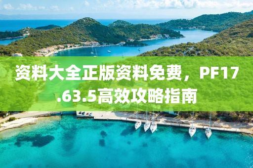 资料大全正版资料免费，PF17.63.5高效攻略指南
