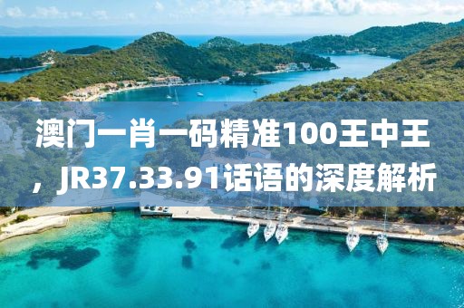 澳门一肖一码精准100王中王，JR37.33.91话语的深度解析