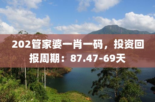 202管家婆一肖一码，投资回报周期：87.47-69天