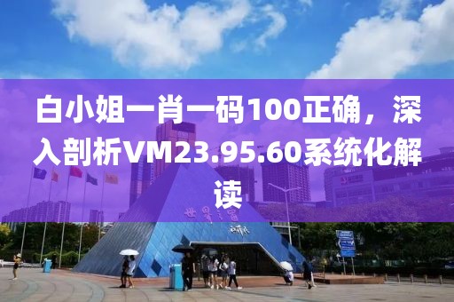 白小姐一肖一码100正确，深入剖析VM23.95.60系统化解读
