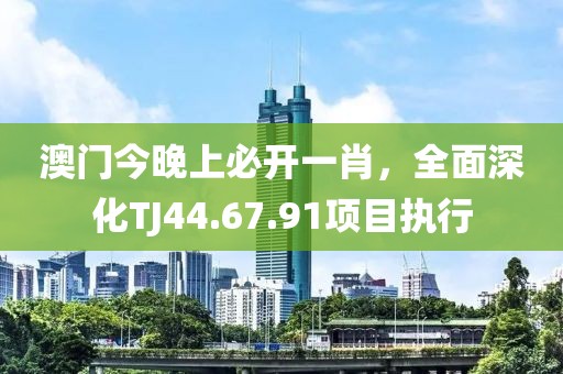 澳门今晚上必开一肖，全面深化TJ44.67.91项目执行