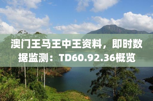 澳门王马王中王资料，即时数据监测：TD60.92.36概览