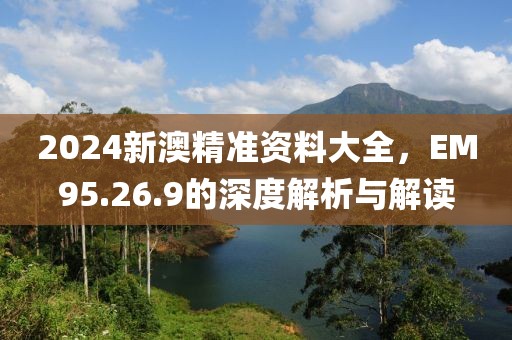 2024新澳精准资料大全，EM95.26.9的深度解析与解读