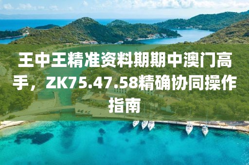 王中王精准资料期期中澳门高手，ZK75.47.58精确协同操作指南