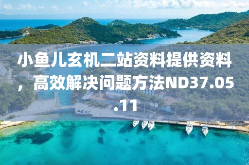 小鱼儿玄机二站资料提供资料，高效解决问题方法ND37.05.11