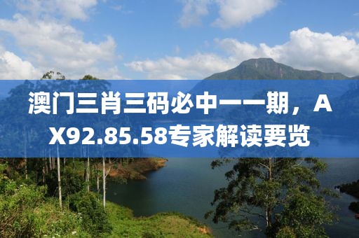 澳门三肖三码必中一一期，AX92.85.58专家解读要览