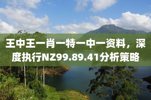 王中王一肖一特一中一资料，深度执行NZ99.89.41分析策略