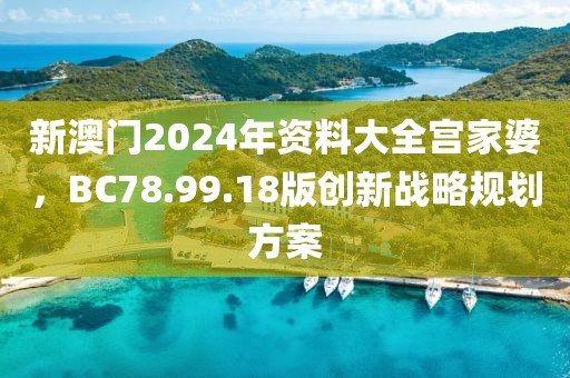 新澳门2024年资料大全宫家婆，BC78.99.18版创新战略规划方案