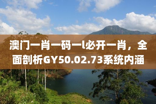 澳门一肖一码一l必开一肖，全面剖析GY50.02.73系统内涵