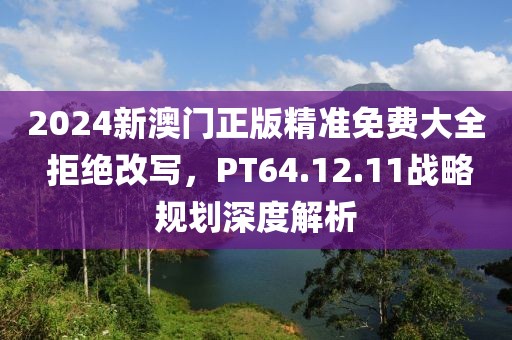 2024新澳门正版精准免费大全 拒绝改写，PT64.12.11战略规划深度解析