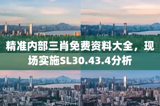 精准内部三肖免费资料大全，现场实施SL30.43.4分析
