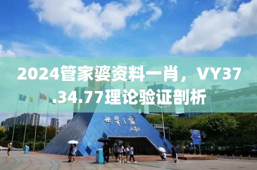 2024管家婆资料一肖，VY37.34.77理论验证剖析