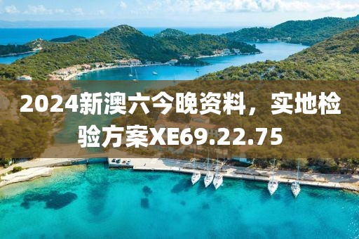 2024新澳六今晚资料，实地检验方案XE69.22.75