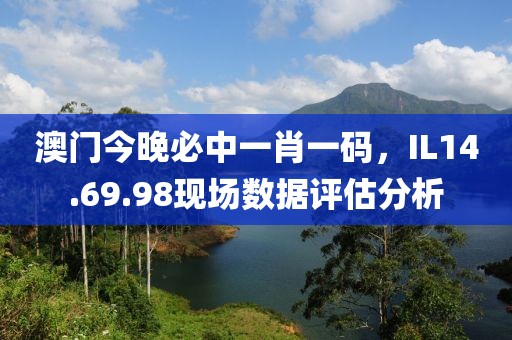 澳门今晚必中一肖一码，IL14.69.98现场数据评估分析