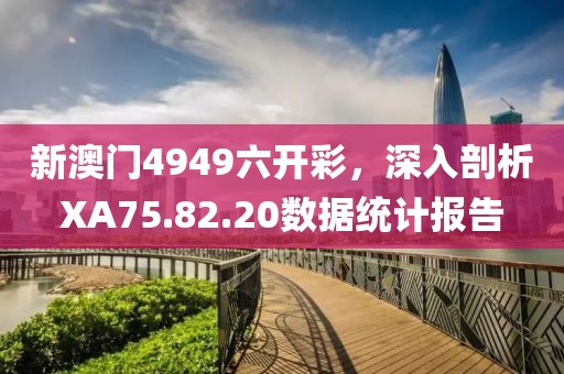新澳门4949六开彩，深入剖析XA75.82.20数据统计报告