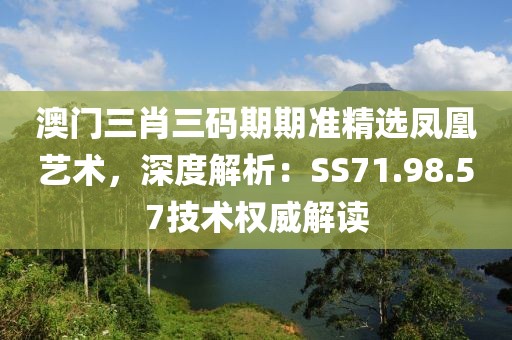 澳门三肖三码期期准精选凤凰艺术，深度解析：SS71.98.57技术权威解读