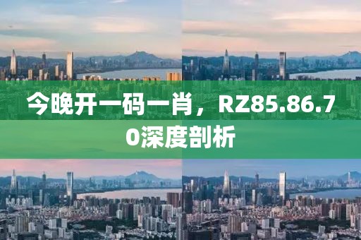 今晚开一码一肖，RZ85.86.70深度剖析