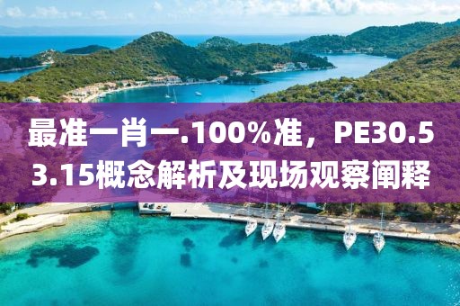 最准一肖一.100%准，PE30.53.15概念解析及现场观察阐释