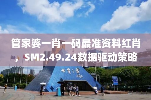 管家婆一肖一码最准资料红肖，SM2.49.24数据驱动策略