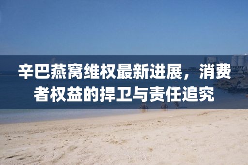 辛巴燕窝维权最新进展，消费者权益的捍卫与责任追究