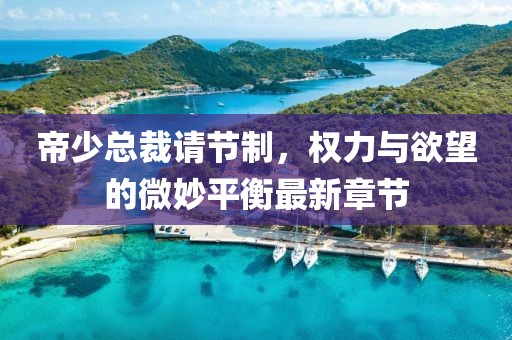 帝少总裁请节制，权力与欲望的微妙平衡最新章节