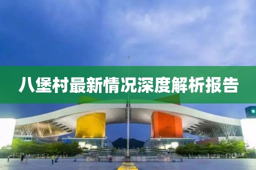八堡村最新情况深度解析报告